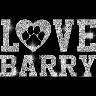 GLT51 SILVER GLITTER Thumbnail